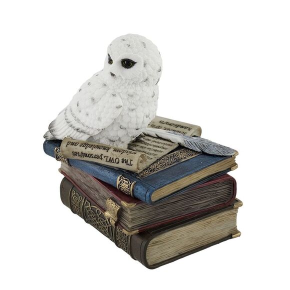 Wise Snow Owl Resting on Scholar`s Books Trinket Box - Picture 2 of 5